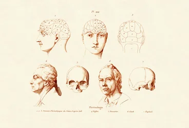 Frenología, 1833-39